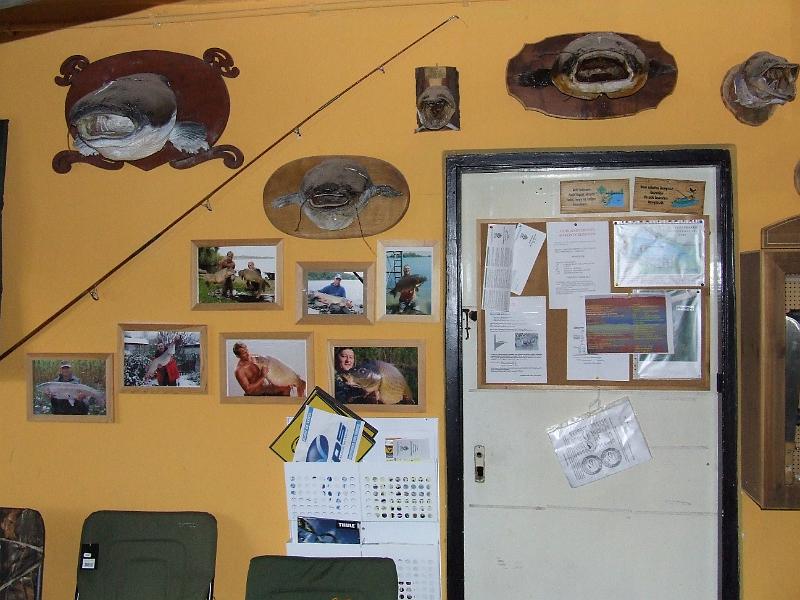 DSCF7425.JPG