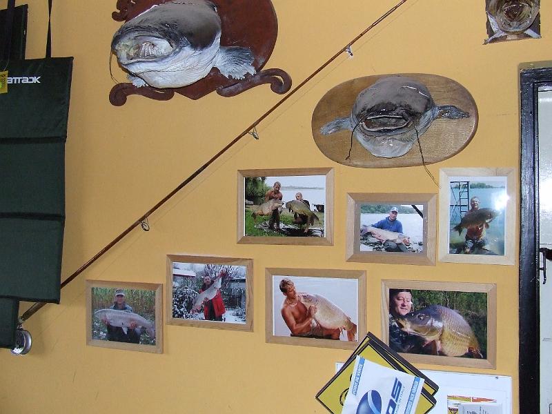 DSCF7426.JPG